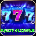 andy flower App Legend v5.8.4