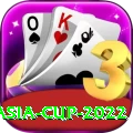 asia cup 2022 - VIP Premium