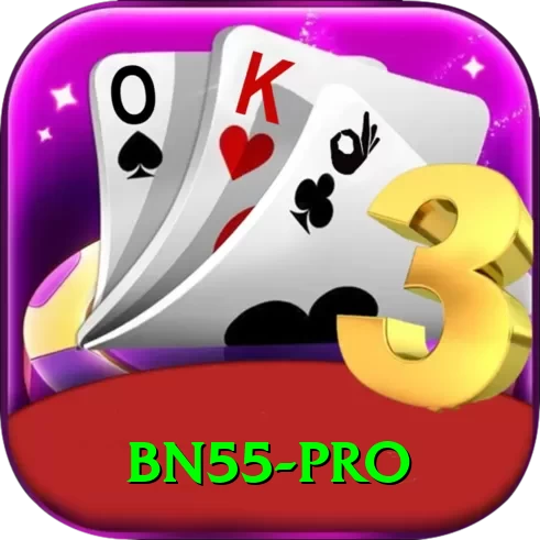 bn55 Premium Slots - 2