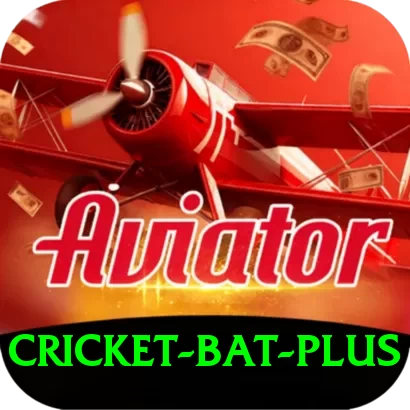 cricket bat Gaming King v4.1.8 - 2