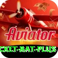 cricket bat Gaming King v4.1.8