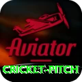 cricket pitch Slots Deluxe v5.9.3