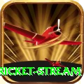 cricket stream Champion Pakistan