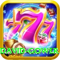david gower - VIP Pro