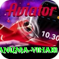 hanuma vihari Premium Slots