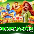 india cricket match Ultimate Latest v3.1.7