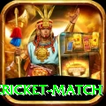 india pakistan cricket match Slots King v3.0.4