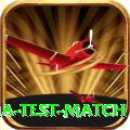 india test match Game Mega v3.3.7
