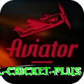 international cricket App Max v3.0.0