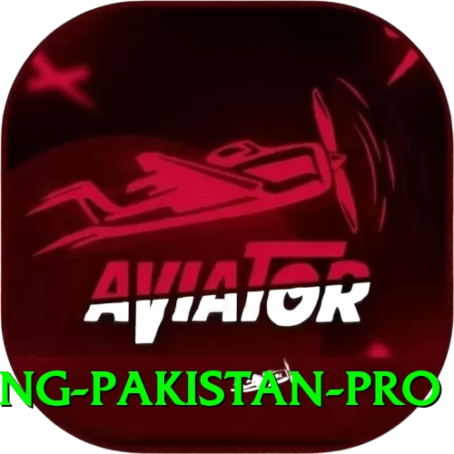 IPL Betting Pakistan Turbo Gaming App - 2