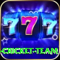 ireland cricket team Casino Champion v1.1.8