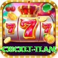 new zealand cricket team Gold - Win Real PKR