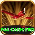 p44 Cash Pro