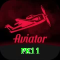 pk11 VIP Edition v4.5.1