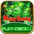 play cricket Game Premium v3.6.9