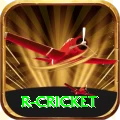 r cricket Gaming Champion v1.3.4