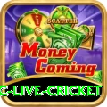 smartcric live cricket PK Super