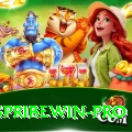 spribewin Premium 2024
