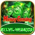 steve waugh Champion - Free Download