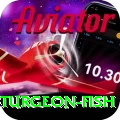 sturgeon fish - VIP Pro
