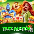 test match Turbo Gaming App