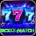 to day cricket match Casino VIP v3.0.0