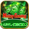 watch live cricket King Latest v1.9.3